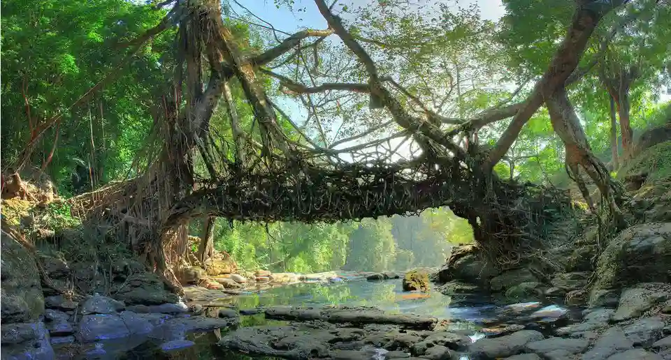 mawlynnong-dawki
